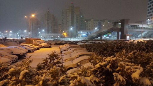 25 февраля Воронеж в снегу — жители в ярости