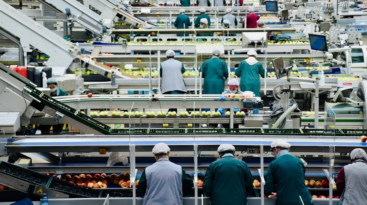 Под Воронежем планируют построить кластер для пищевых производств за 200 млн рублей