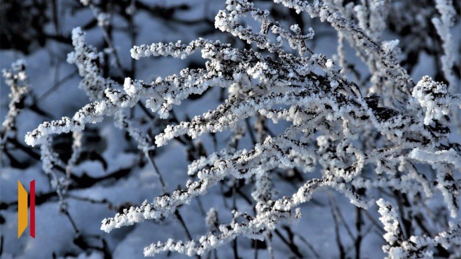 � ����������� ������� ���� ���������� 12-��������� �������