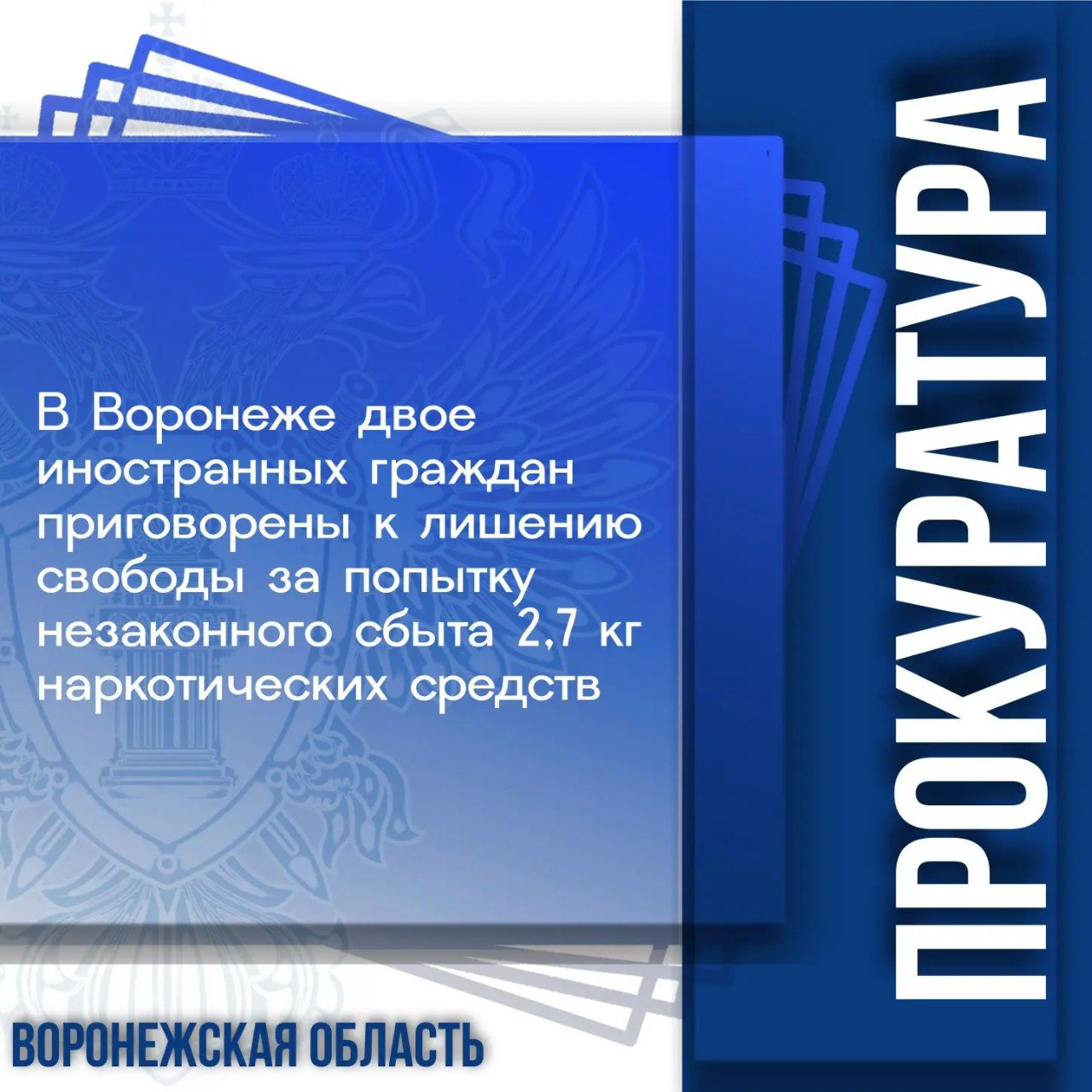 Сегодня, 26 февраля 2026 года, Воронежским областным судом вынесен приговор двум 20-летним иностранным гражданам