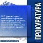 Сегодня, 26 февраля 2026 года, Воронежским областным судом вынесен приговор двум 20-летним иностранным гражданам