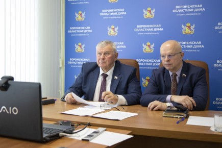 �������� �������� � ���� ������� �������� ������ �� ������������ �������� �������-������������� �����������