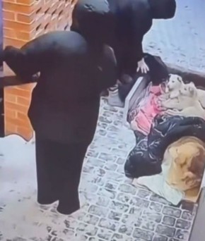 Вандалы из воронежского «Мандарина» выгнали собак на мороз, а крыльцо облили хлоркой