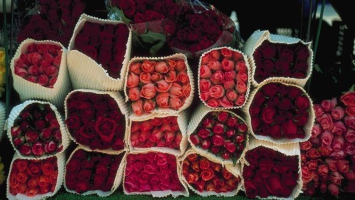 Российские аналитики узнали цену среднего букета из роз к 8 Марта