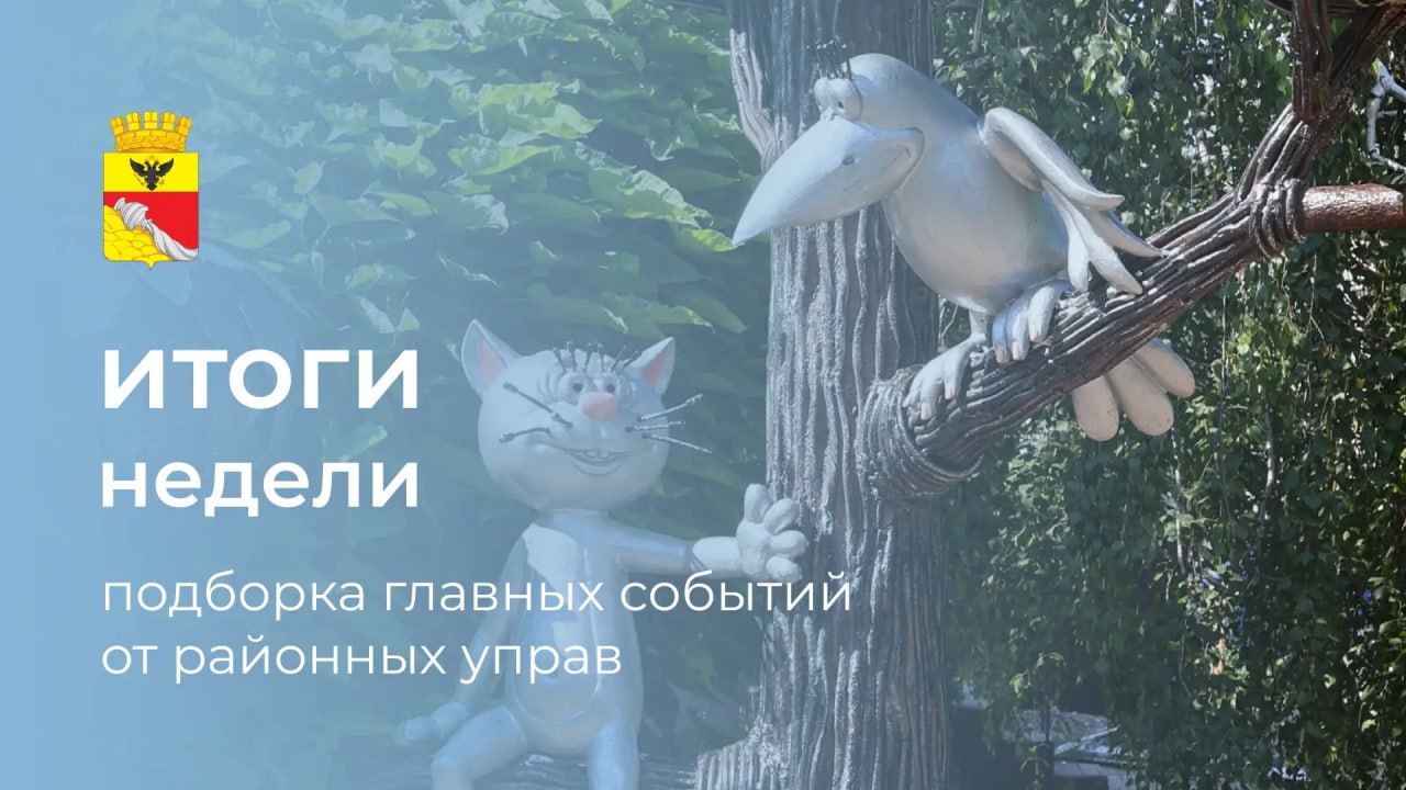 Итоги недели: 6 самых интересных событий районных управ
