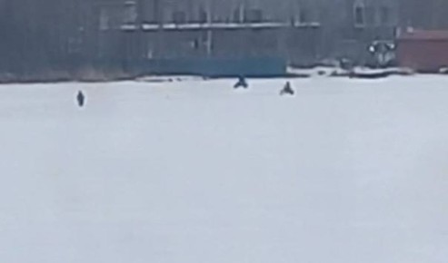 Мотоциклы на льду: опасное развлечение воронежцев