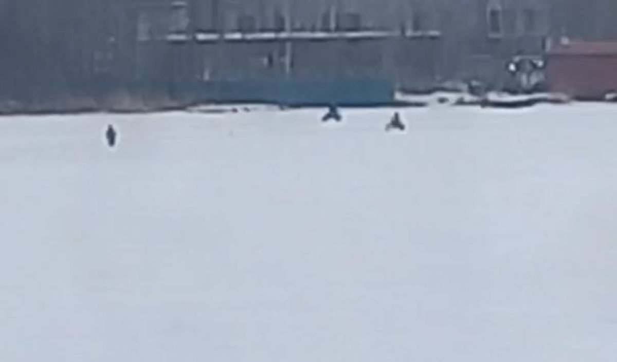 Мотоциклы на льду: опасное развлечение воронежцев