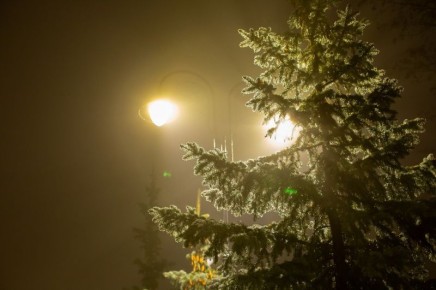 ���������� � ����� ���������� � ����������� ������� �� �����������