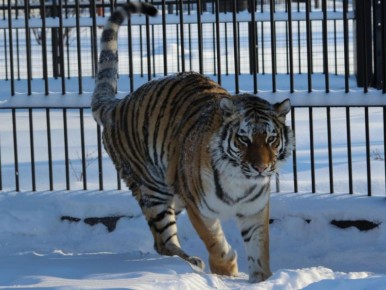 ��������� � ������� ���������� ������ ���� �������� �������� ������