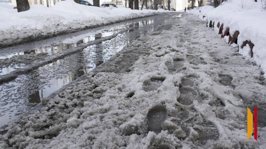 Воронежские синоптики рассказали, каким будет март