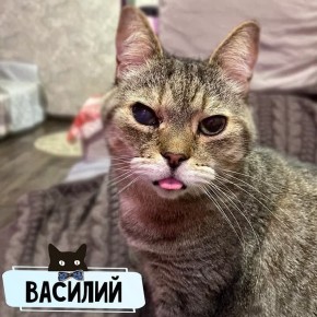 � ������ ���� ����� � ����� ������ ���������� ���� �����