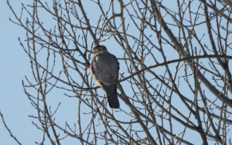 ������ ������ ����� �������� � ����������� �����������