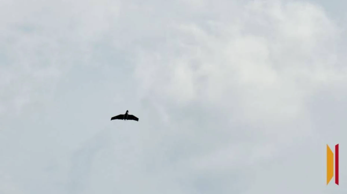 Воронежцам рассказали подробности атаки БПЛА в ночь на 2 марта