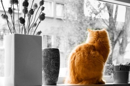 В каждом из нас живет маленький, очень нежный человечек. Весной он просыпается, чтобы получить свою дозу солнечного света и любви! Представляем прогноз на 2 марта в Воронеже