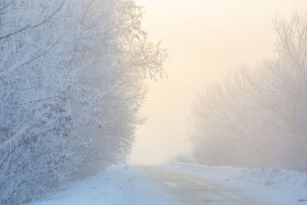 Воронежцев предупредили о снегопаде на федеральных дорогах