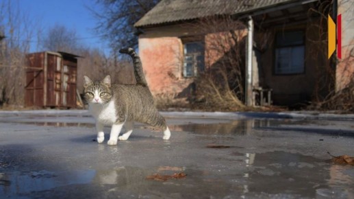 В Воронежской области продлили желтый уровень погодной опасности из-за гололедицы