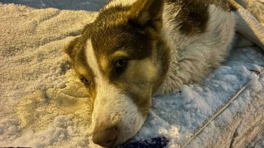 �� �������� � �����: ���, ����������� �� �������, ����� ����� � ������ ������