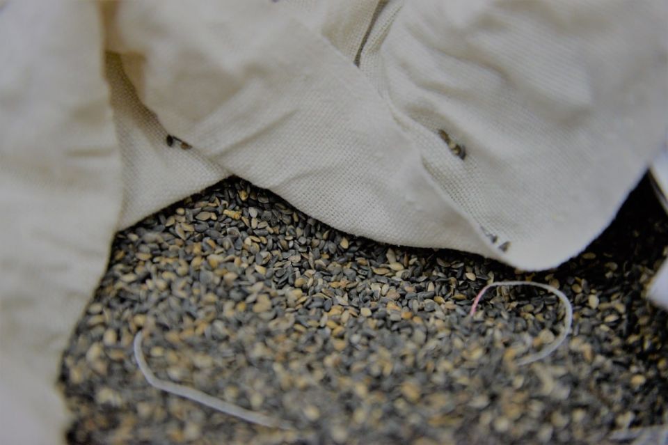 ������� ��������: ������ ��������� ���������� ����������� ������������ ���������� �� ������� ���