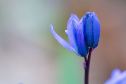 ����� ������: � ����������� ������� ��������� �� +11