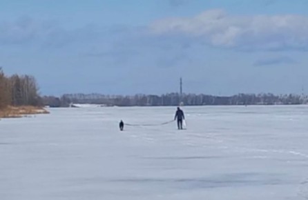 �������� �� ������� ����: ������� ����� �������� ������ �� ���� �������������