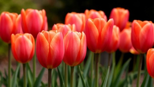 ����� 100 ����� ��������� ������� ������� ���� ������