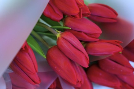 ������ ���� ������� ���������� ��������� ����������� ������� � ������������� ������� ����