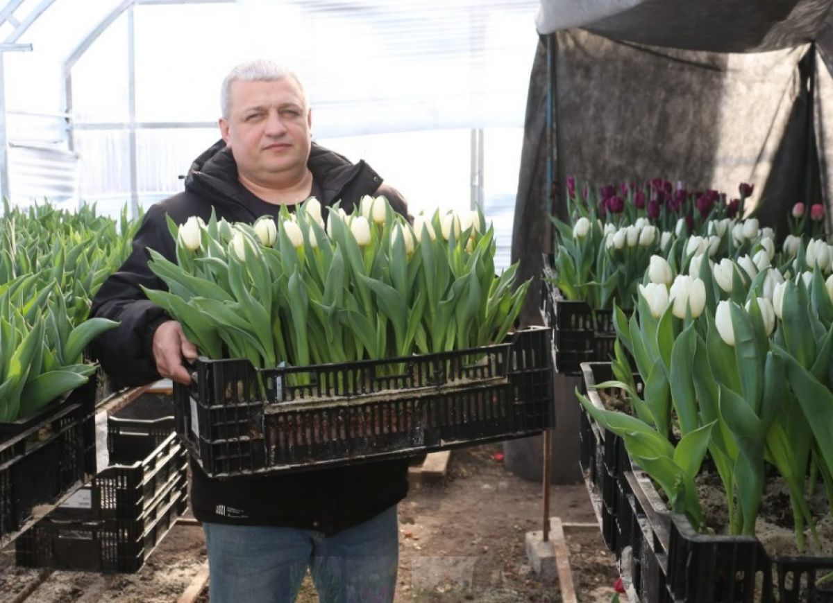 ТОП знаковых событий ЦФО: фальшивый ?«Зоотеатр», ?«кунг-фу-тюльпаны», стрельба по колесам и пробуждение Маши