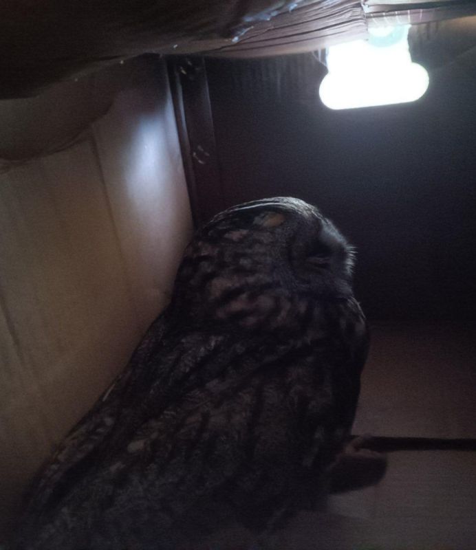 � �������� ������ ������� ����, ��������� �� ���������� ���������