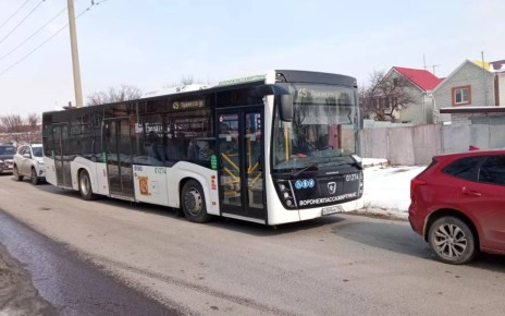 ������� ����� 77 ����� � �������� �������� ������������� ���������� � ������ �� ������ 3 �������� 2025 ����