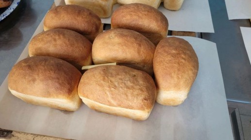 ����� �� ����: ����������� ������ ��������� ������������ ���� �� ����� �������