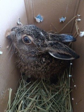 � ��������� ��������� ����� � ������ ��������