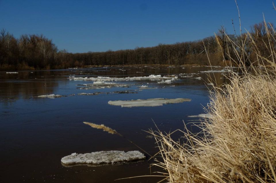 Александр Гусев: Полномочный представитель Президента России в ЦФО Игорь Щёголев провел совещание по вопросам готовности регионов к паводку и пожароопасному сезону