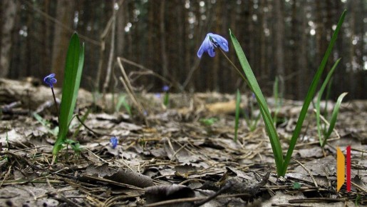 � ����������� ������� �� �������� ������� ������