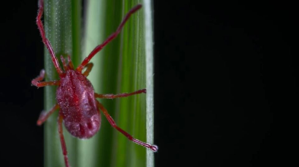 ���������� ������������ � ������ ���������� ������ � �����