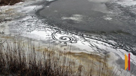 ���������� ������������ �� ��������� �������� �� �������������