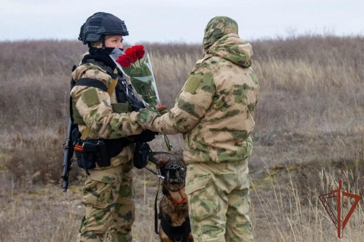 ������������ ���������� ������-�������������� � ����������� ���������, ����������� ������ ����������� ������� ��������