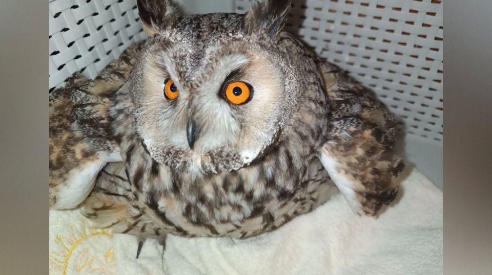 � ������ � ������ �������� ����� ������� ���� � ����������� ������ � ������� ������������