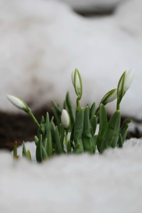 ��������� ���������� ������� ������������