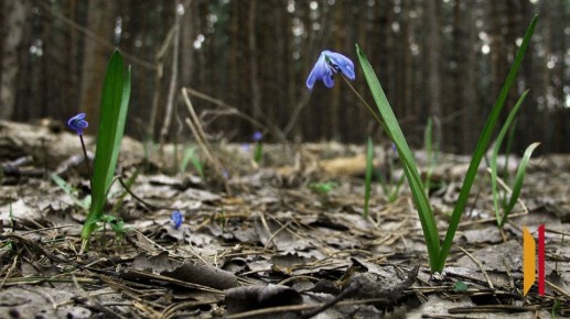 ����� ��������, �������� �� � ����������� ������� ������� ������