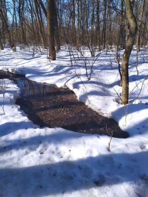 � ����������� �������� ������� ������� ������� ����