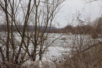 ������� � ����������� �������: ������� ������� ����, ���� ����� � ������� ������������