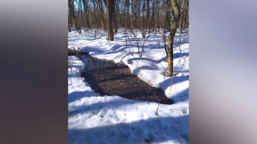 � ����������� �������� ������� ������� ������� ����