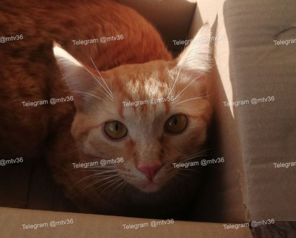 � �������� �������� �������� ���� � ����� � ��������� �� ���� �����������