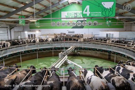 �������� 16�17 ����� ������ ����� �� ���������� � ���������� �� 5 ���� ������