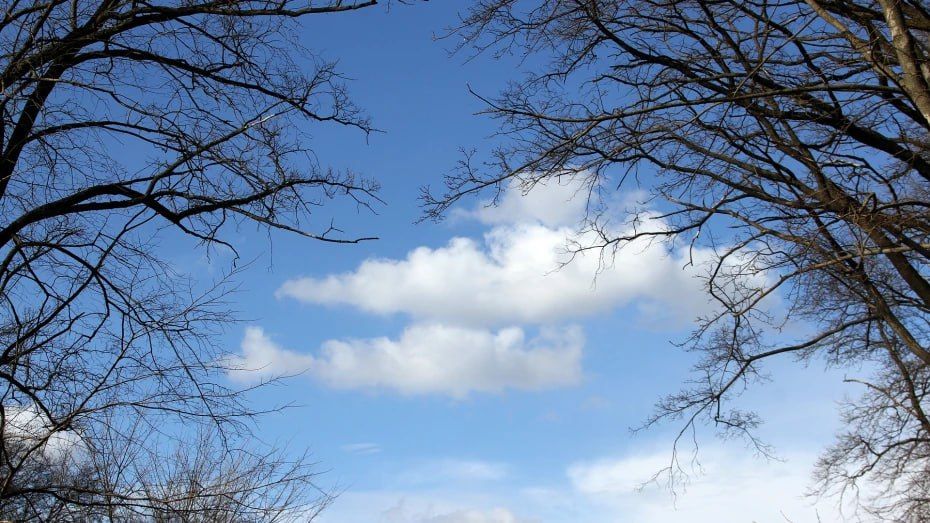 �������� ����� ������� � ����������