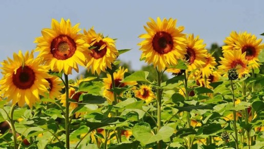 � 2026 ���� ����������� ������� �������������� 45,1 ��� ���� ������������ ��������� � 18 �����