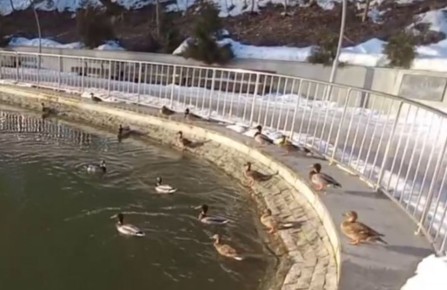 �������� ��������: ���� �������� ����������� ���� ����� �� �����