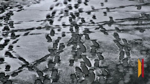 В Воронеже на Петровской набережной днем 15 марта женщина провалилась под лед