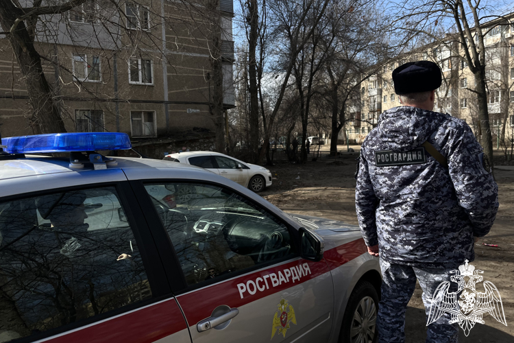 БОЛЕЕ 270 РАЗ ЗА НЕДЕЛЮ РОСГВАРДЕЙЦЫ В ВОРОНЕЖСКОЙ ОБЛАСТИ ВЫЕЗЖАЛИ ПО СИГНАЛУ «ТРЕВОГА»