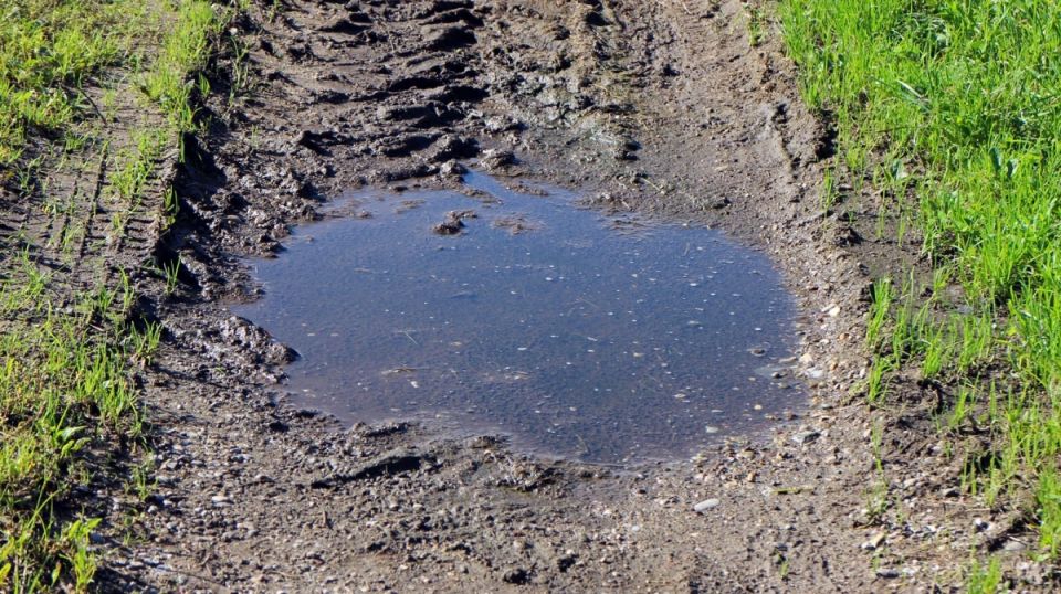 � ����������� ������� ������ ����������� ������� ������ �� ������� � ���� � ����: �����